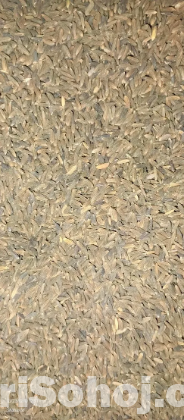 Black seeds